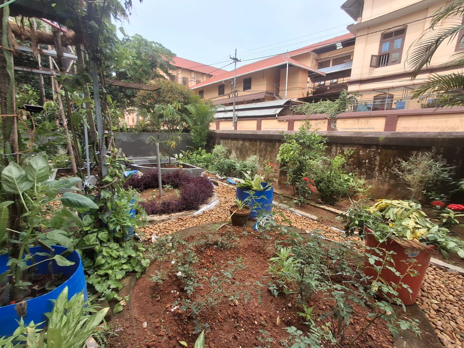 campus